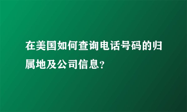 在美国如何查询电话号码的归属地及公司信息？