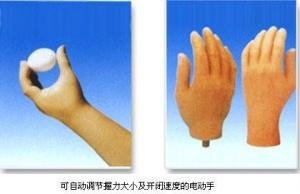 装假肢要注意什么?