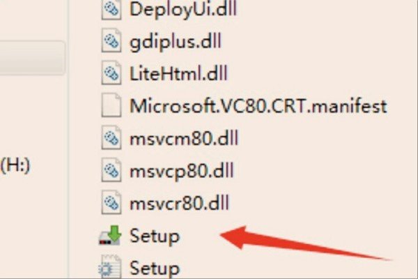 安装的CAD2008别的字体都是中文，为什么特性栏是英文，请大神指教
