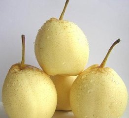 中国哪些地方产梨?