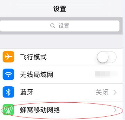 苹果手机5s怎么设置4G网络