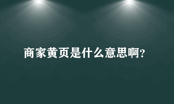 商家黄页是什么意思啊？