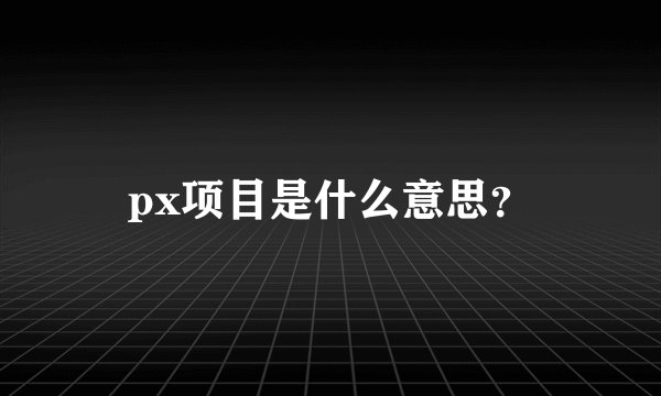 px项目是什么意思？