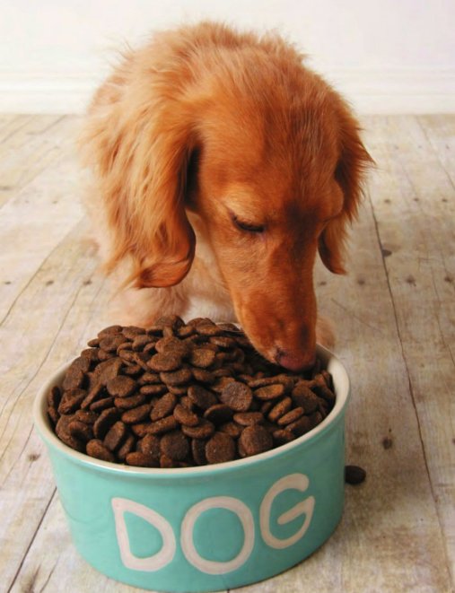 干狗粮怎么制作