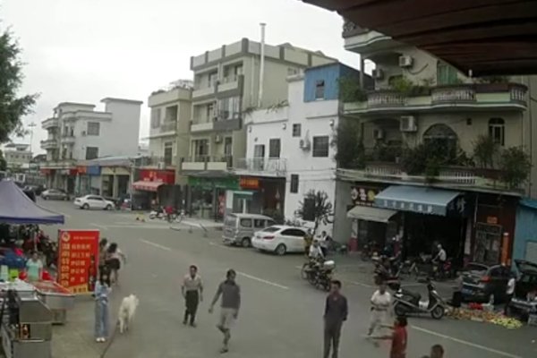 老人被狗绳绊倒身亡，其家属为何不再追责？