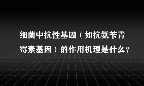 细菌中抗性基因（如抗氨苄青霉素基因）的作用机理是什么？