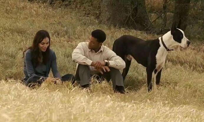 电影《七磅》讲的什么故事？