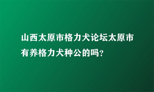 山西太原市格力犬论坛太原市有养格力犬种公的吗？