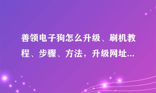善领电子狗怎么升级、刷机教程、步骤、方法，升级网址/网站/去哪里升级