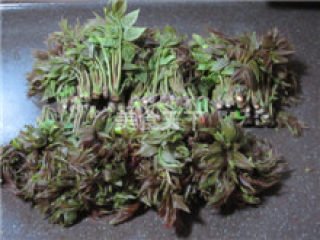香椿芽腌制方法 怎么腌香椿更好吃