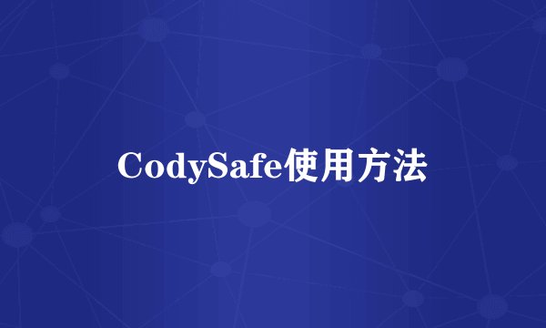 CodySafe使用方法