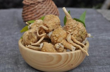 玛咖的功效及吃法