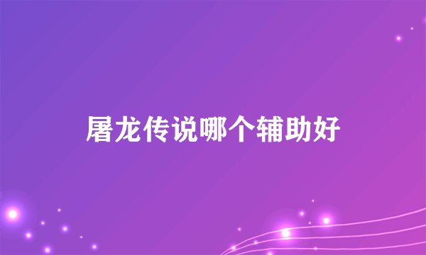 屠龙传说哪个辅助好