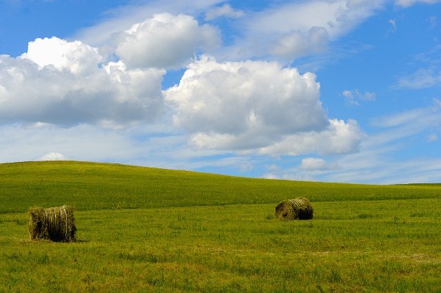 内蒙古大草原哪里最好玩？
