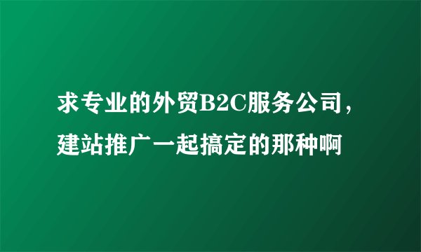 求专业的外贸B2C服务公司，建站推广一起搞定的那种啊