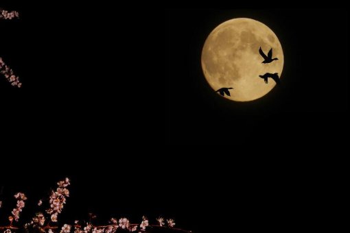 花好月圆夜歌曲原唱