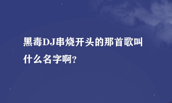 黑毒DJ串烧开头的那首歌叫什么名字啊？