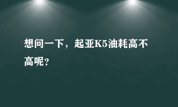 想问一下，起亚K5油耗高不高呢？