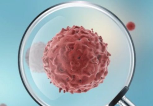 新冠疫情什么时候出现的？