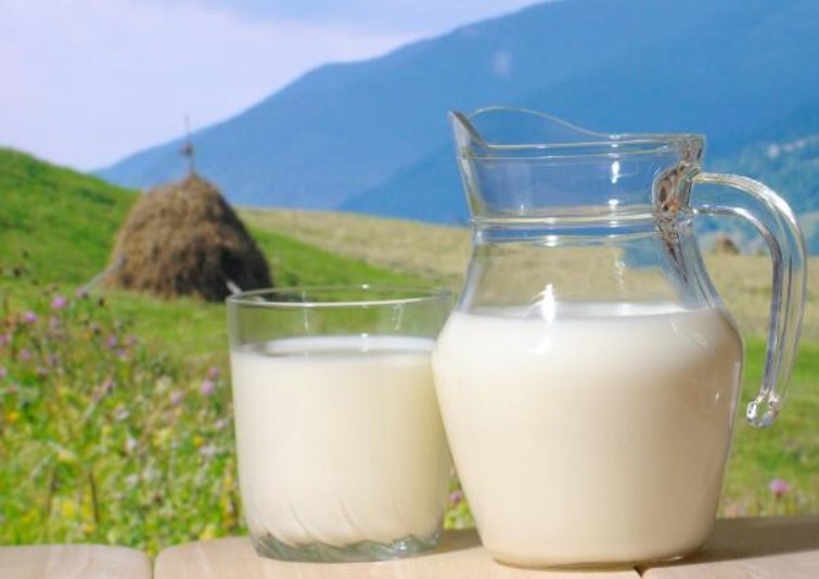 特仑苏的有机奶和纯牛奶有什么区别? 详细点~