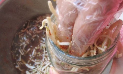 谁知道登封芥丝怎么腌?