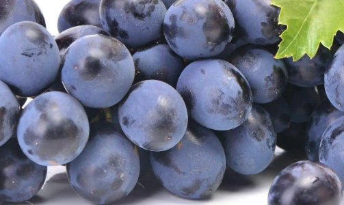 10种强碱性水果排名