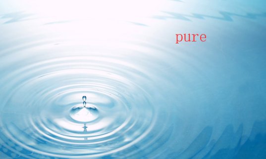 pure什么意思啊
