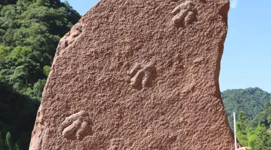 四川发现肉食性恐龙足迹,这究竟是一种什么恐龙?