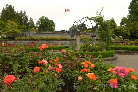 大学成长经历怎么写简短