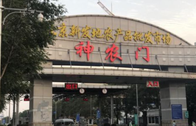 北京疫情传播链是怎么样的？