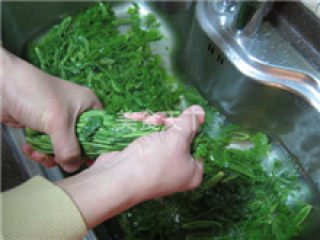 香椿芽腌制方法 怎么腌香椿更好吃