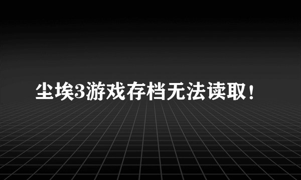 尘埃3游戏存档无法读取！