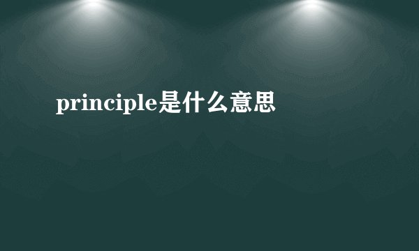 principle是什么意思