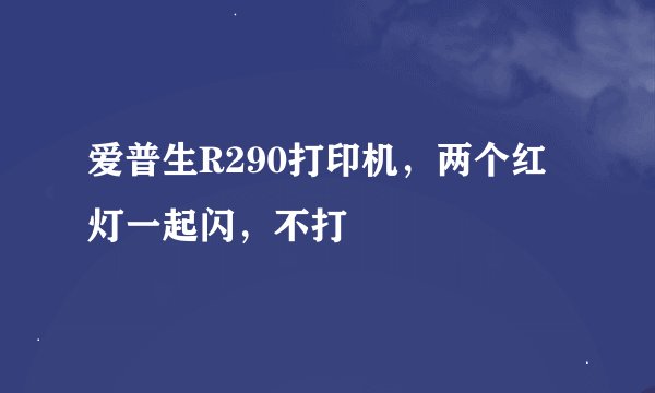爱普生R290打印机，两个红灯一起闪，不打