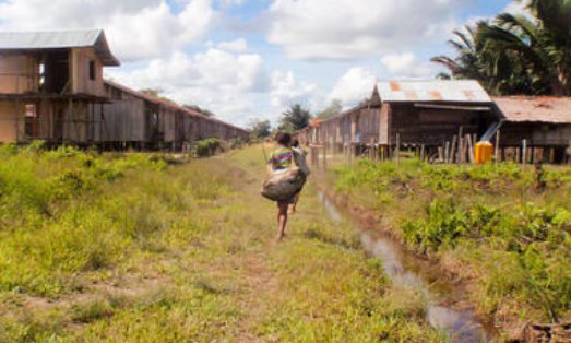 食尸族是真实存在的？在什么地方？