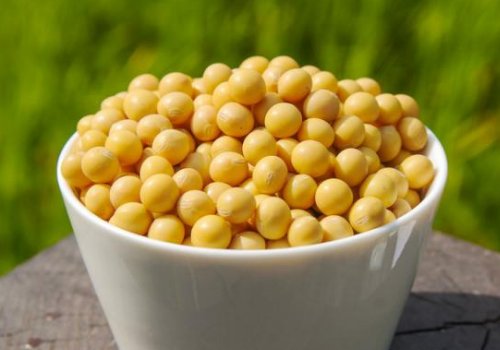 癌细胞最怕什么食物