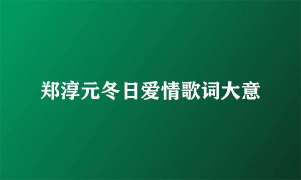 郑淳元冬日爱情歌词大意