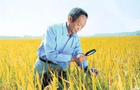 袁隆平的未竟遗愿，他生前心愿是什么？