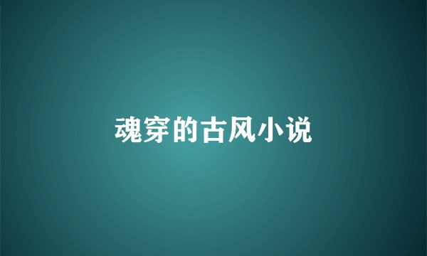 魂穿的古风小说