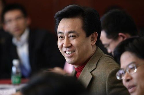 恒大海口多地块被无偿回收的原因是什么？