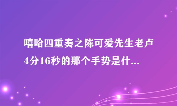 嘻哈四重奏之陈可爱先生老卢4分16秒的那个手势是什么意思？