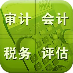 财务审计报告指的是什么？