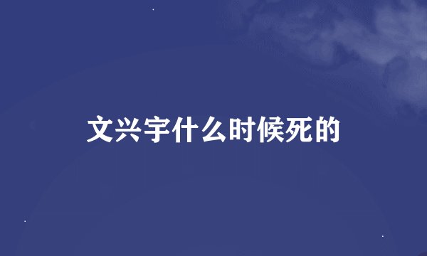 文兴宇什么时候死的