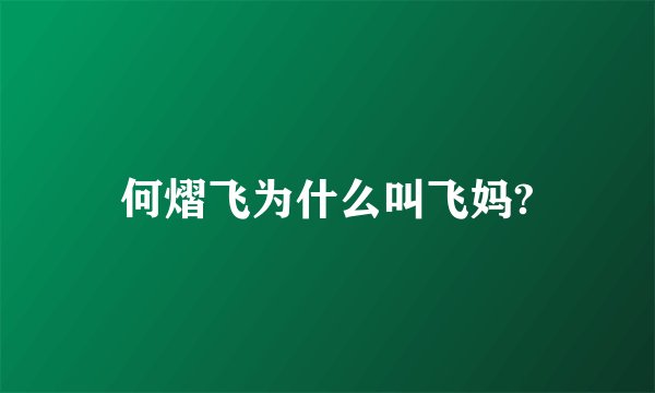 何熠飞为什么叫飞妈?