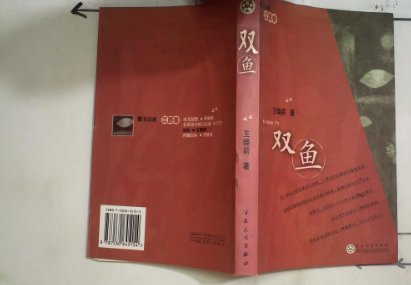 双鱼小说杭小夕讲了什么