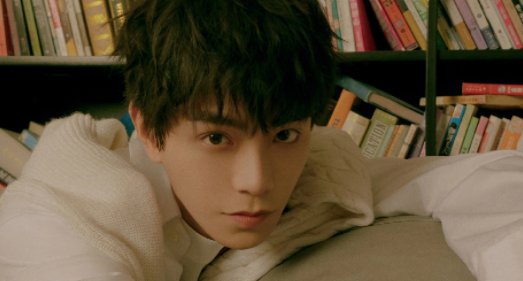 丁禹兮演过的电视剧有哪些？