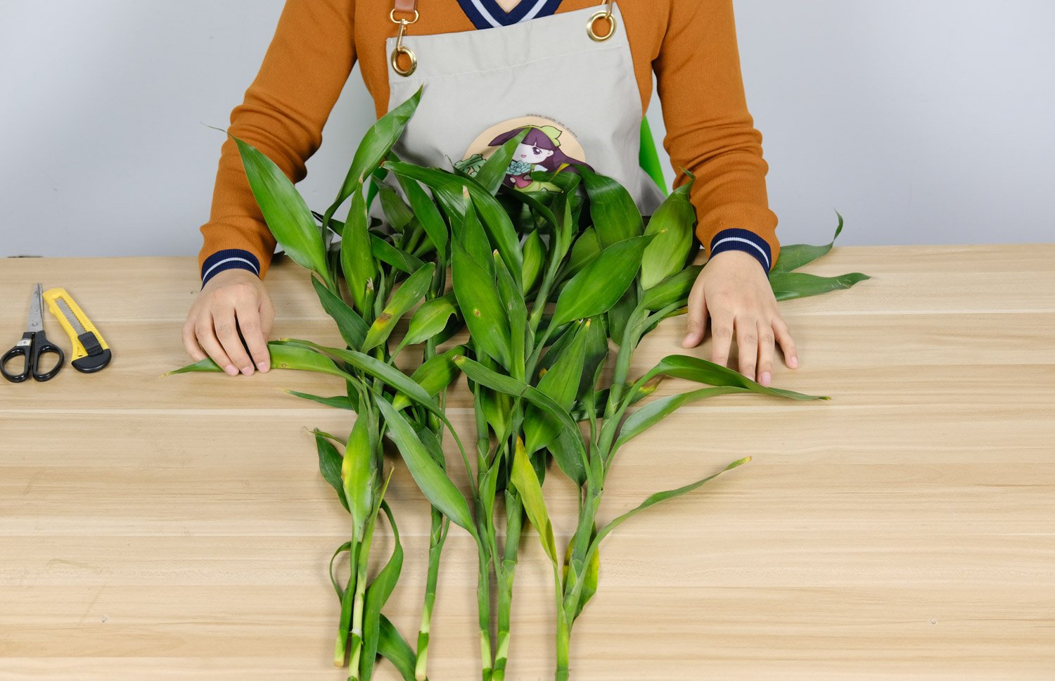 水养富贵竹叶子发黄怎么补救