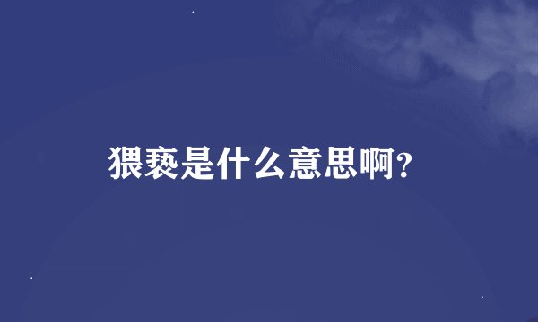 猥亵是什么意思啊？