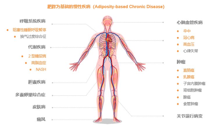减肥减得是什么？