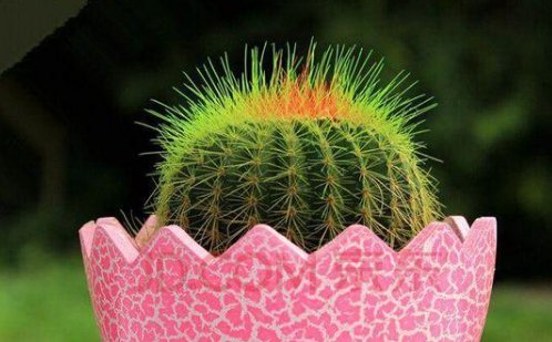 办公桌上适合摆放什么